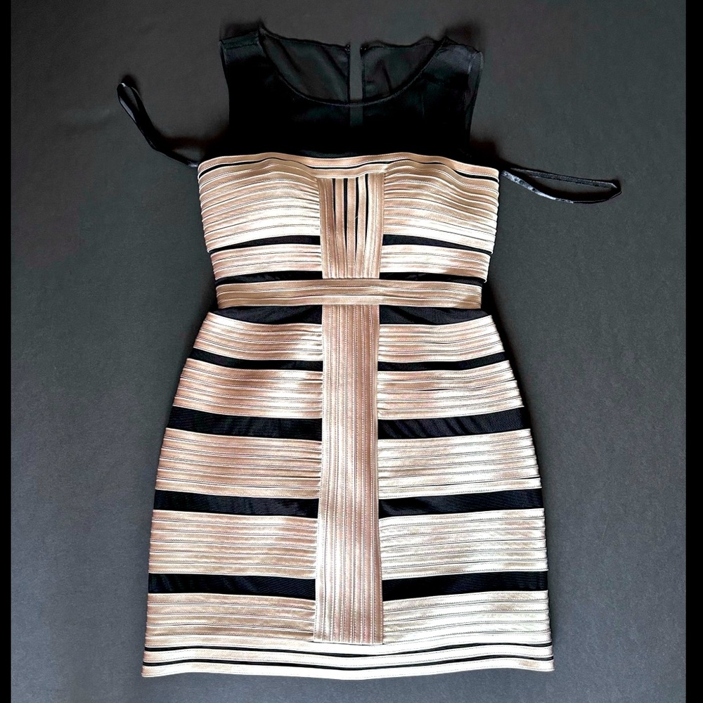 BCBG Max Azria mesh top dress, figure-hugging, shiny fabric, elegant and chic.